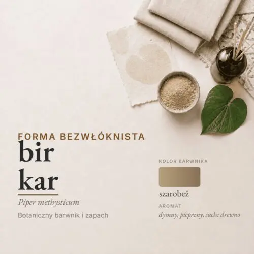Bir Kar