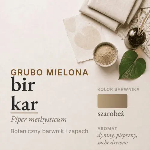 Bir Kar