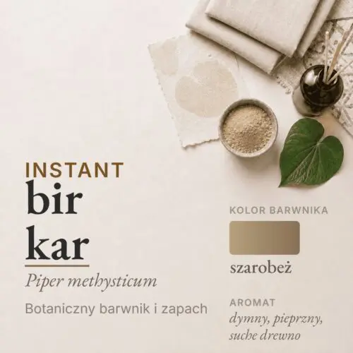 Bir Kar
