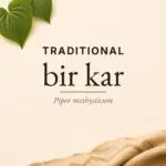 Bir Kar