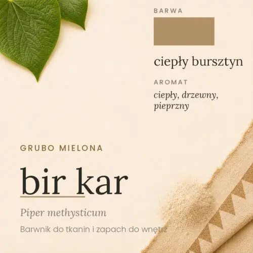 Bir Kar