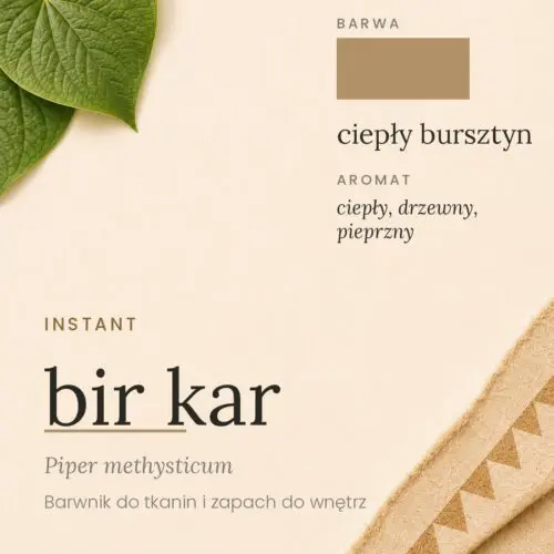 Bir Kar