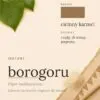 kava-pl-borogoru-instant