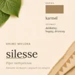 Silesse