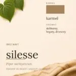 Silesse