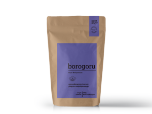 Borogoru