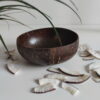 bowl coconut Coconut bowl