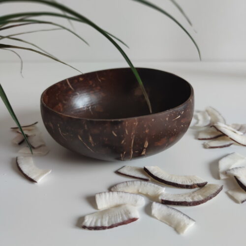 Hindistan cevizi kasesi